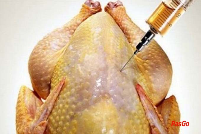 Ctna Lau Hoi Caribe (4)